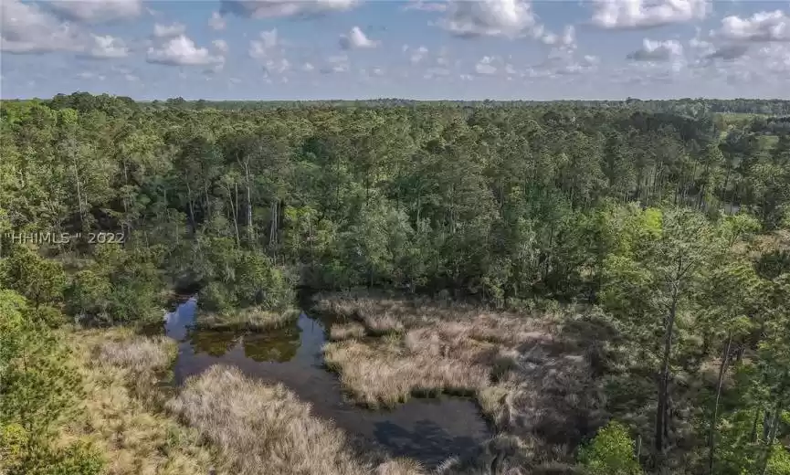 Hardeeville, South Carolina 29927, ,Land,For Sale,424734