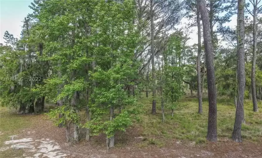 Hardeeville, South Carolina 29927, ,Land,For Sale,424734