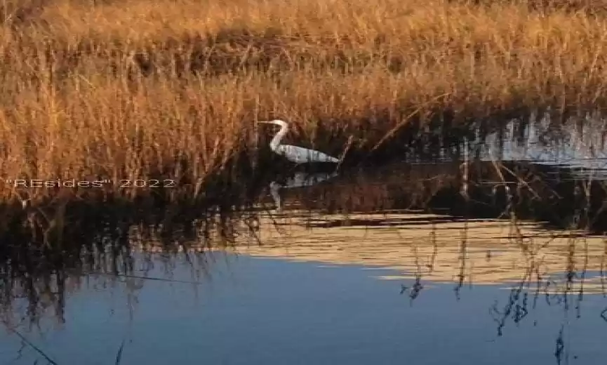 Daufuskie Island, South Carolina 29915, ,Land,For Sale,430632