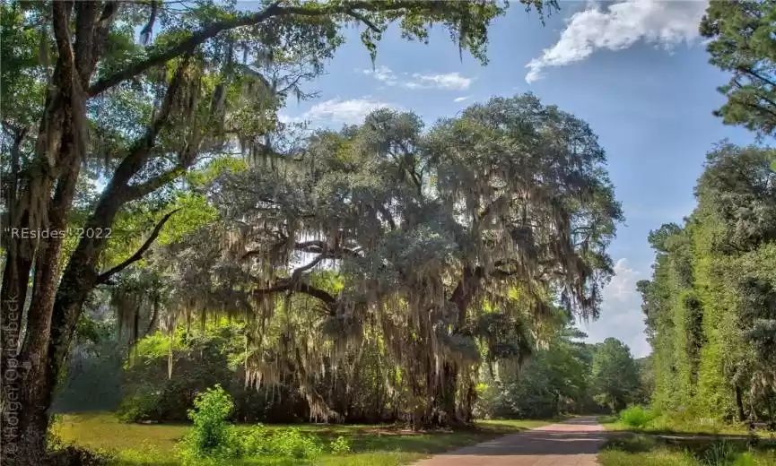 Daufuskie Island, South Carolina 29915, ,Land,For Sale,430629