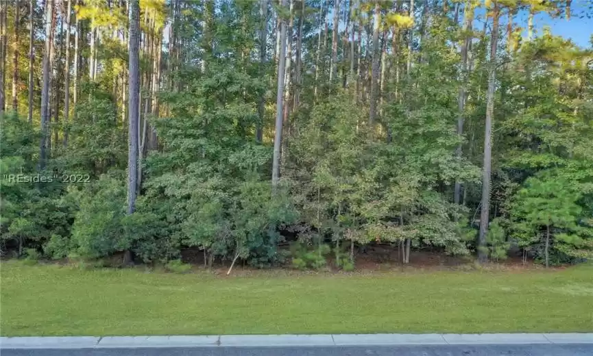 Bluffton, South Carolina 29910, ,Land,For Sale,430358