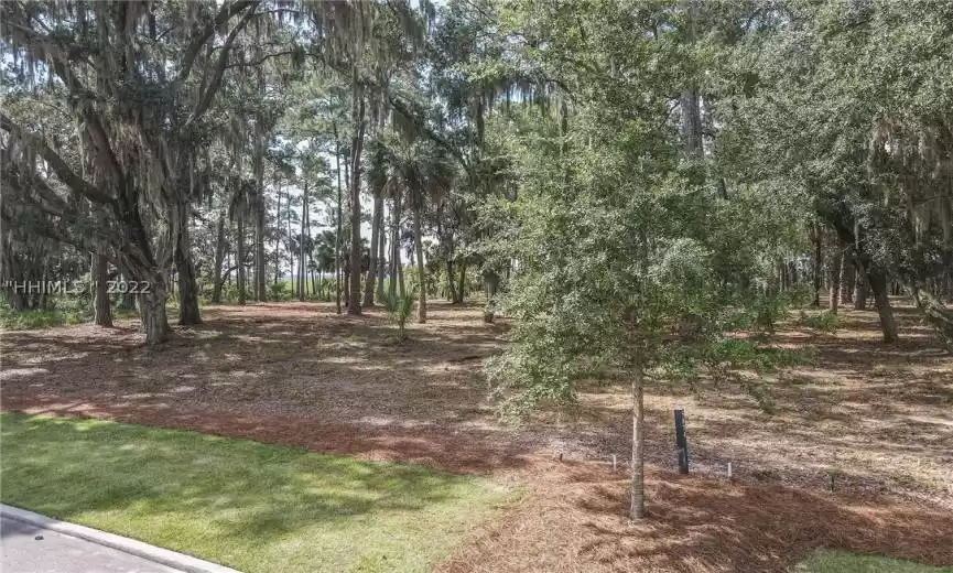 Bluffton, South Carolina 29910, ,Land,For Sale,428936