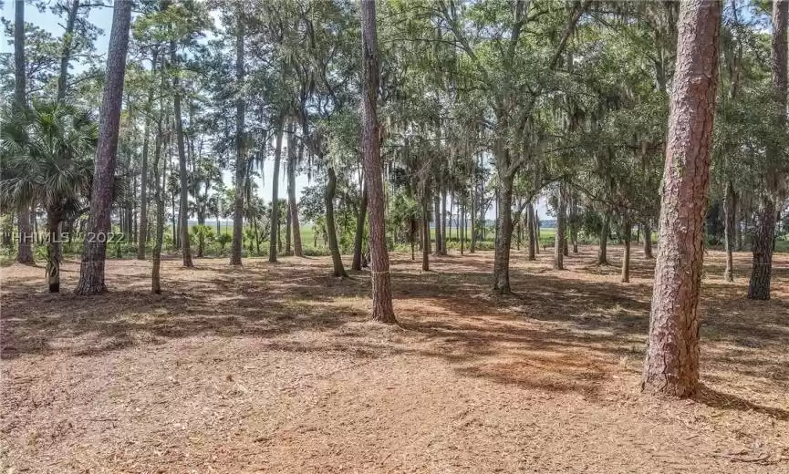 Bluffton, South Carolina 29910, ,Land,For Sale,428936