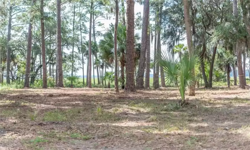 Bluffton, South Carolina 29910, ,Land,For Sale,428936