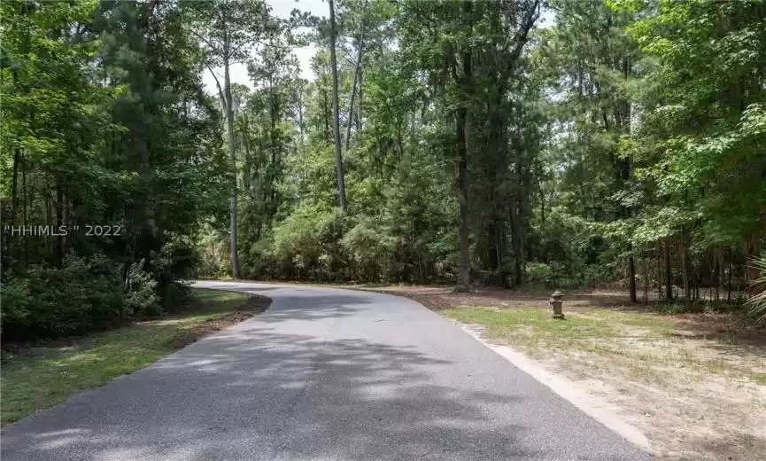 Bluffton, South Carolina 29910, ,Land,For Sale,425540