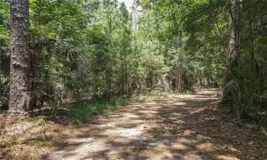 Bluffton, South Carolina 29910, ,Land,For Sale,425540