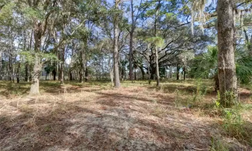 Hardeeville, South Carolina 29927, ,Land,For Sale,415571