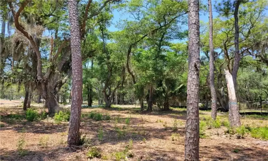 Beaufort, South Carolina 29907, ,Land,For Sale,425906