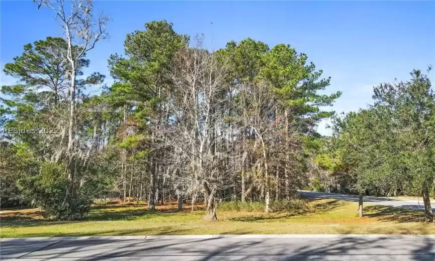 Bluffton, South Carolina 29910, ,Land,For Sale,431277