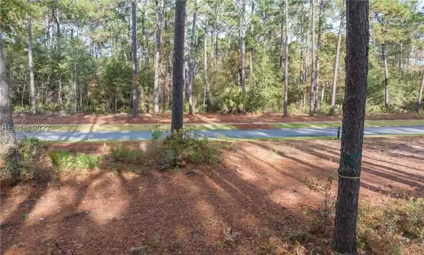 Bluffton, South Carolina 29910, ,Land,For Sale,431516