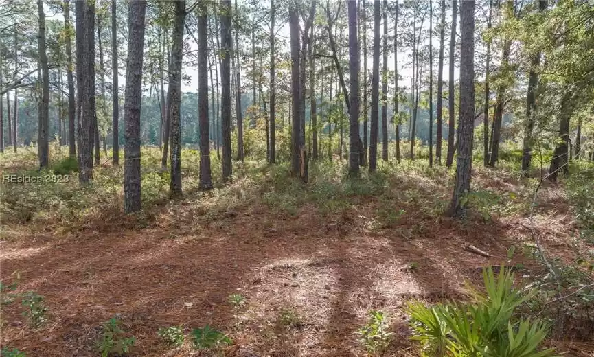 Bluffton, South Carolina 29910, ,Land,For Sale,431516