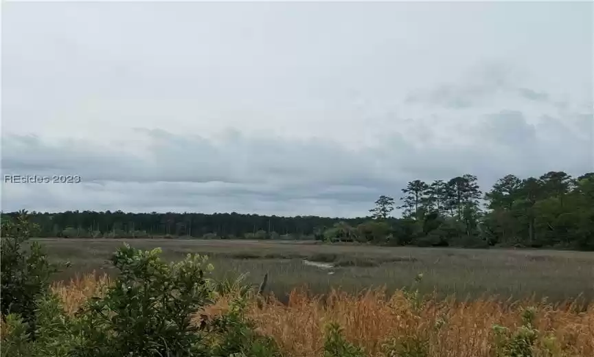 Wide Marsh Views