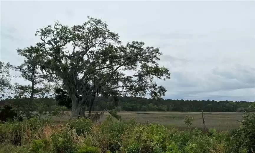 Wide Marsh Views