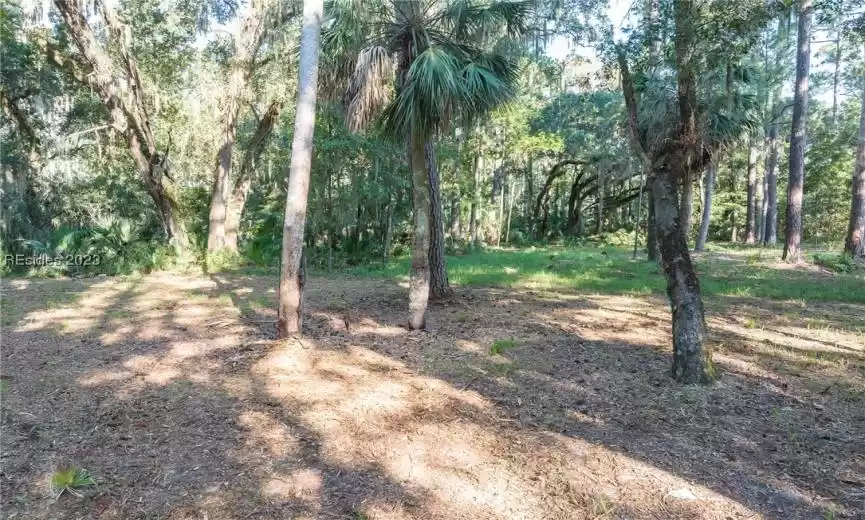 Bluffton, South Carolina 29910, ,Land,For Sale,433308