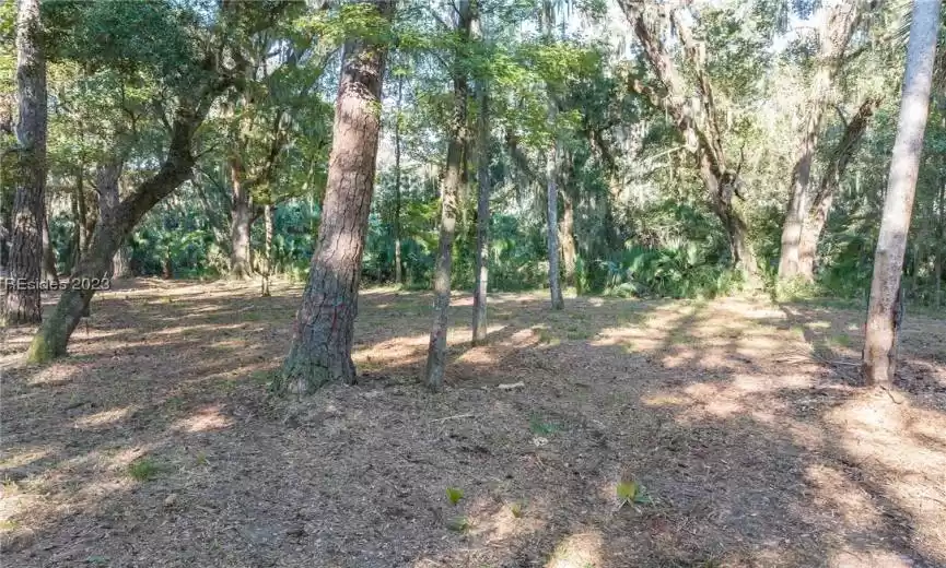 Bluffton, South Carolina 29910, ,Land,For Sale,433308