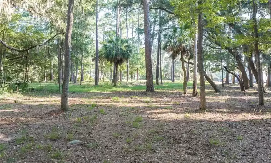 Bluffton, South Carolina 29910, ,Land,For Sale,433308