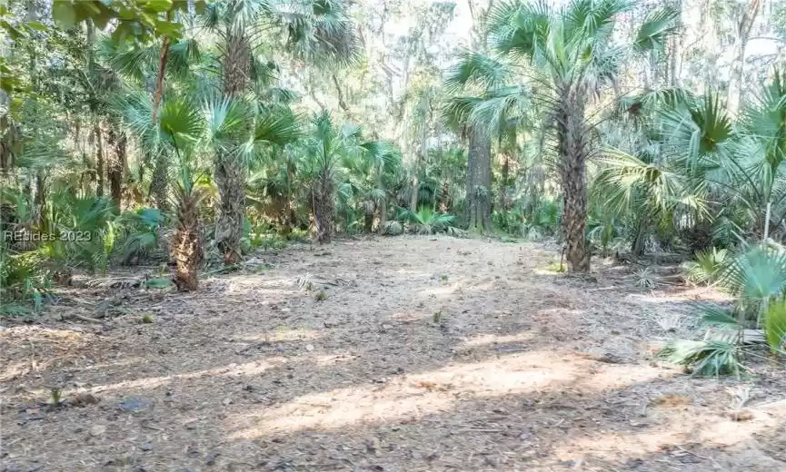 Bluffton, South Carolina 29910, ,Land,For Sale,433308