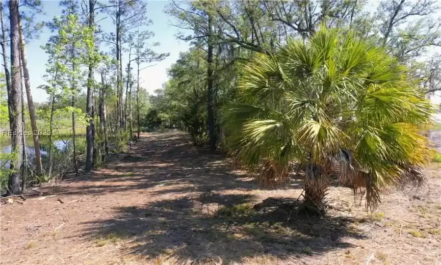 Ridgeland, South Carolina 29936, ,Land,For Sale,434611