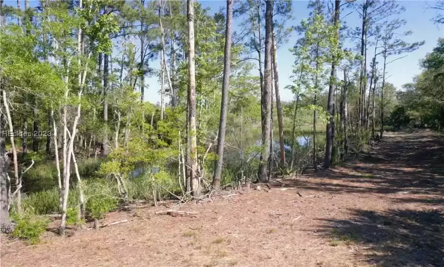 Ridgeland, South Carolina 29936, ,Land,For Sale,434611