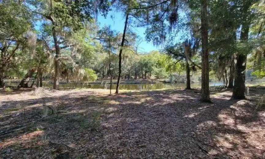 Daufuskie Island, South Carolina 29915, ,Land,For Sale,435333