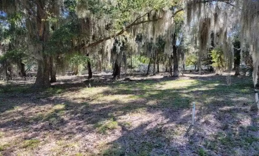 Daufuskie Island, South Carolina 29915, ,Land,For Sale,435333