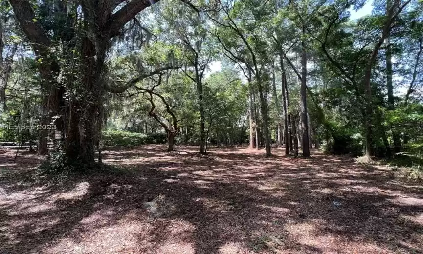 Hilton Head Island, South Carolina 29926, ,Land,For Sale,435947