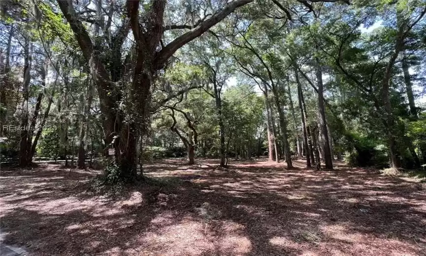 Hilton Head Island, South Carolina 29926, ,Land,For Sale,435947