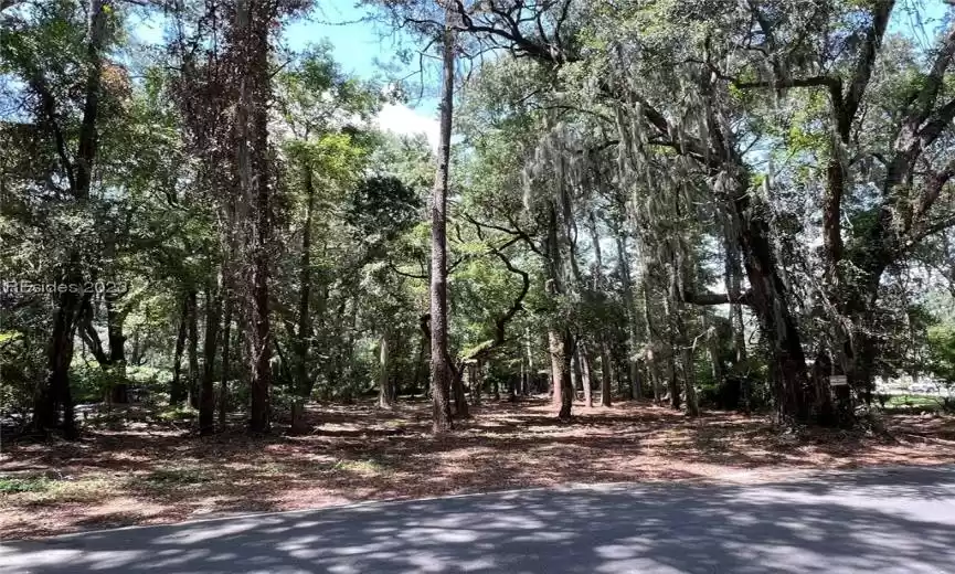 Hilton Head Island, South Carolina 29926, ,Land,For Sale,435947