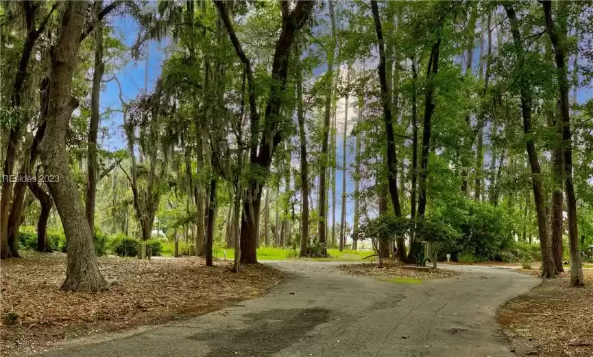 Daufuskie Island, South Carolina 29915, ,Land,For Sale,435888