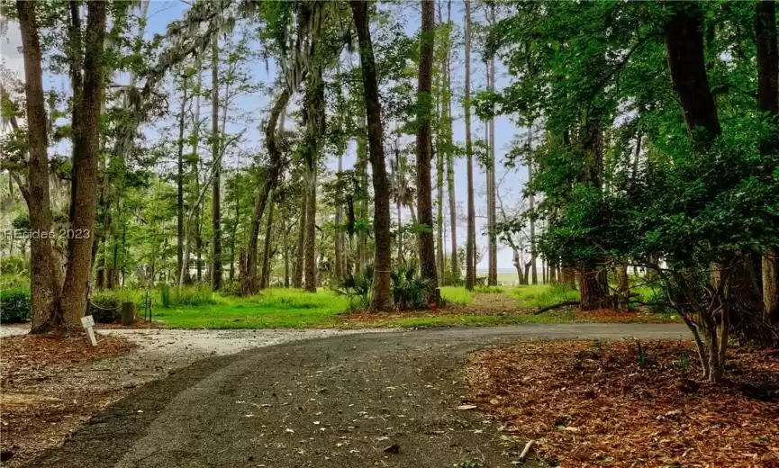 Daufuskie Island, South Carolina 29915, ,Land,For Sale,435888