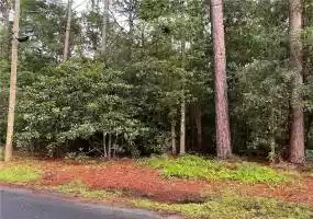 Ridgeland, South Carolina 29936, ,Land,For Sale,436614