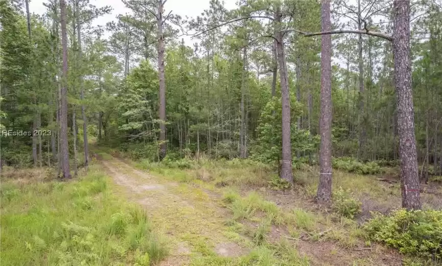 Bluffton, South Carolina 29910, ,Land,For Sale,436392