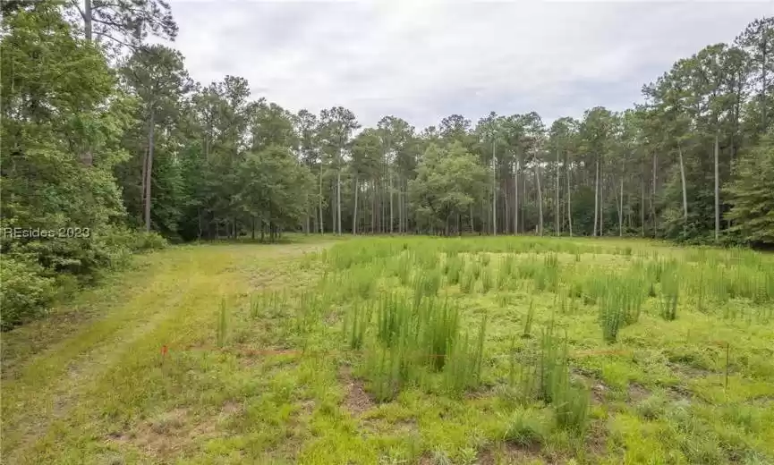 Bluffton, South Carolina 29910, ,Land,For Sale,436392