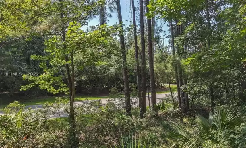 Okatie, South Carolina 29909, ,Land,For Sale,427337