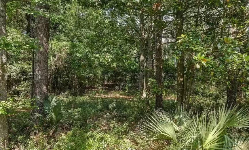 Okatie, South Carolina 29909, ,Land,For Sale,427337