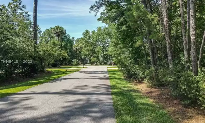 Okatie, South Carolina 29909, ,Land,For Sale,427337