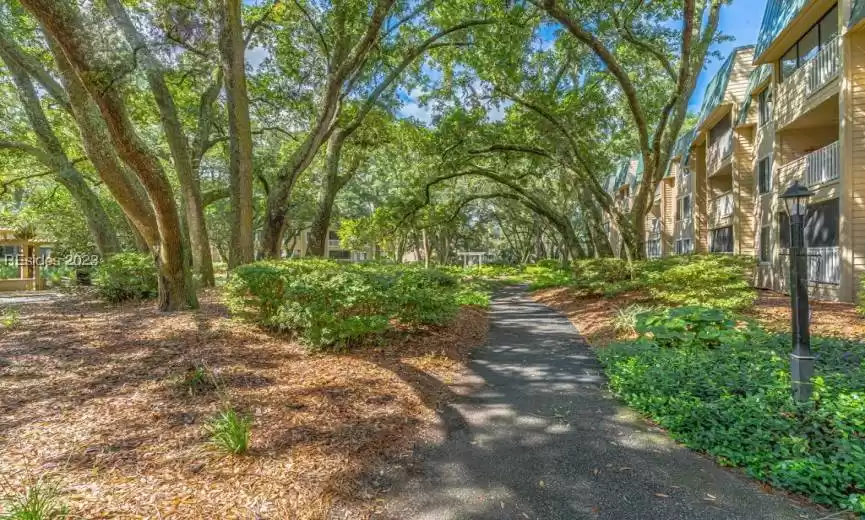 Hilton Head Island, South Carolina 29926, 2 Bedrooms Bedrooms, ,2 BathroomsBathrooms,Residential,For Sale,437373