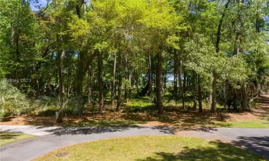 Daufuskie Island, South Carolina 29915, ,Land,For Sale,437627