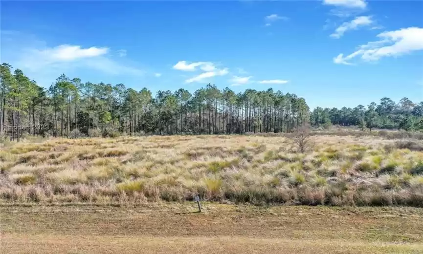 Hardeeville, South Carolina 29927, ,Land,For Sale,437622