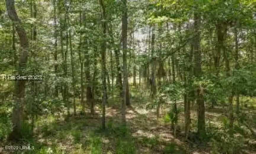 Okatie, South Carolina 29909, ,Land,For Sale,438127