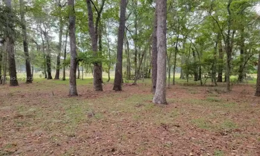 Daufuskie Island, South Carolina 29915, ,Land,For Sale,438159