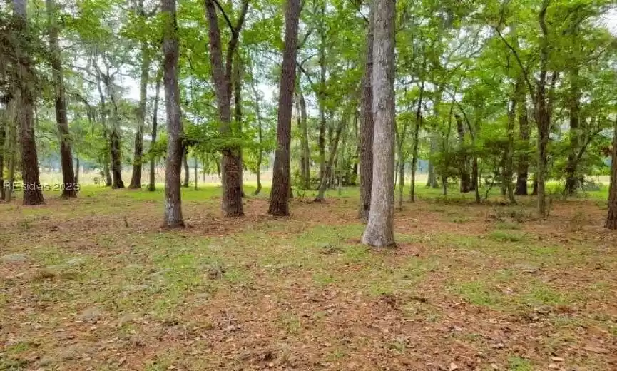 Daufuskie Island, South Carolina 29915, ,Land,For Sale,438159