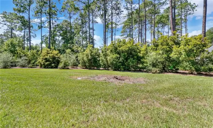 Bluffton, South Carolina 29910, ,Land,For Sale,438279