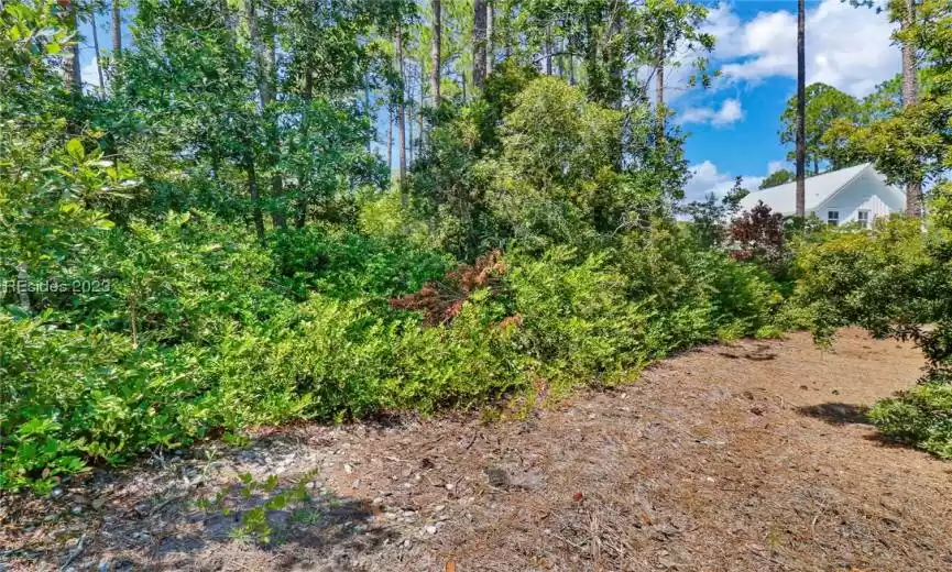 Bluffton, South Carolina 29910, ,Land,For Sale,438279