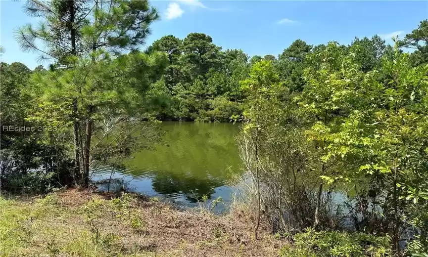 Bluffton, South Carolina 29910, ,Land,For Sale,437867