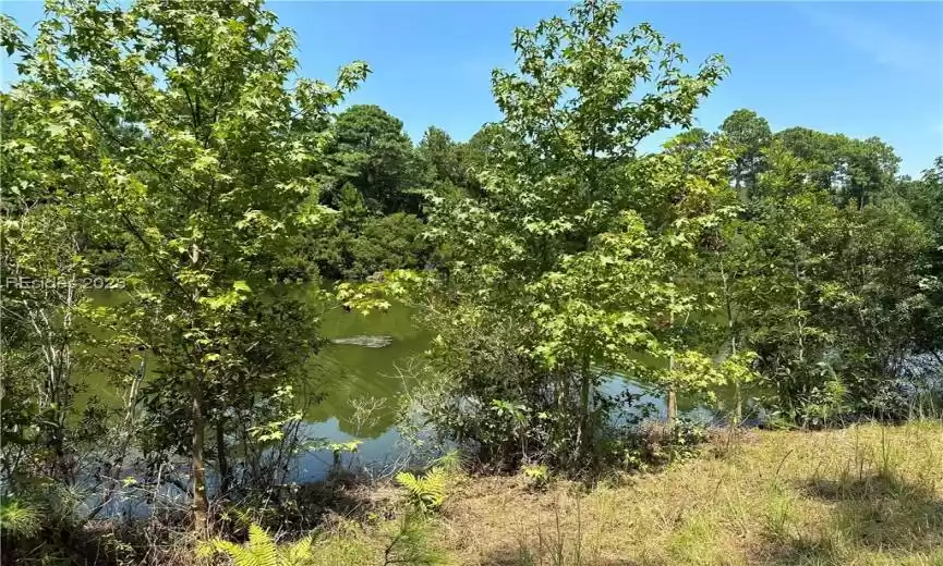 Bluffton, South Carolina 29910, ,Land,For Sale,437867