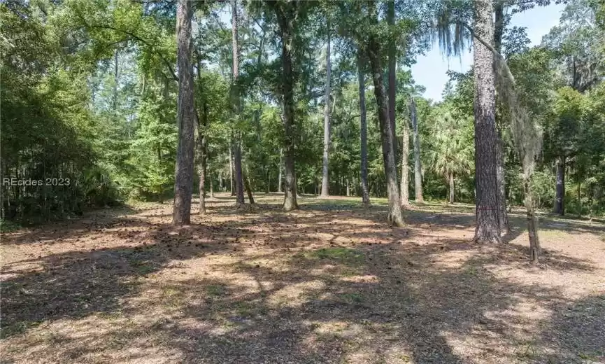 Bluffton, South Carolina 29910, ,Land,For Sale,437725