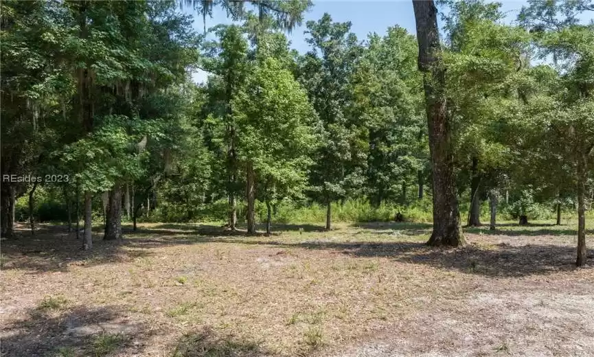 Bluffton, South Carolina 29910, ,Land,For Sale,437725