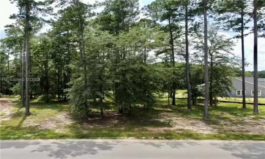 Hardeeville, South Carolina 29927, ,Land,For Sale,438355