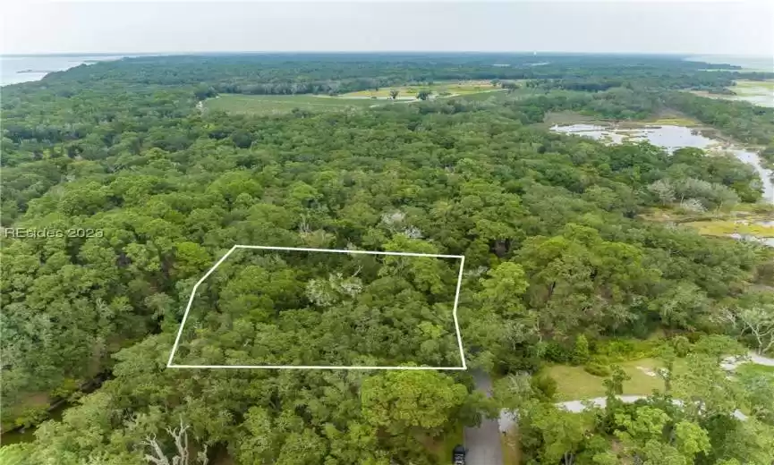 Saint Helena Island, South Carolina 29920, ,Land,For Sale,438335